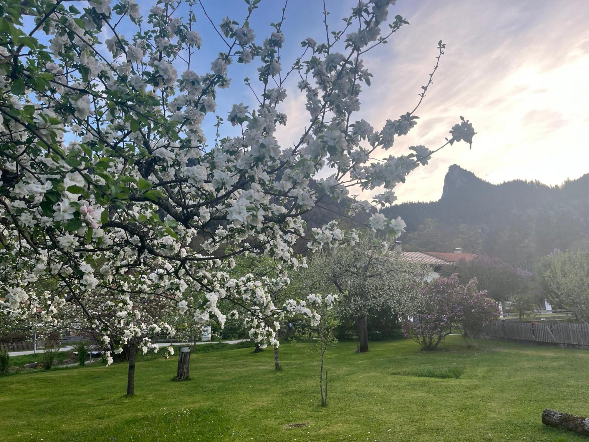 Gaestehaus Zum Thoma 크로이트 외부 사진